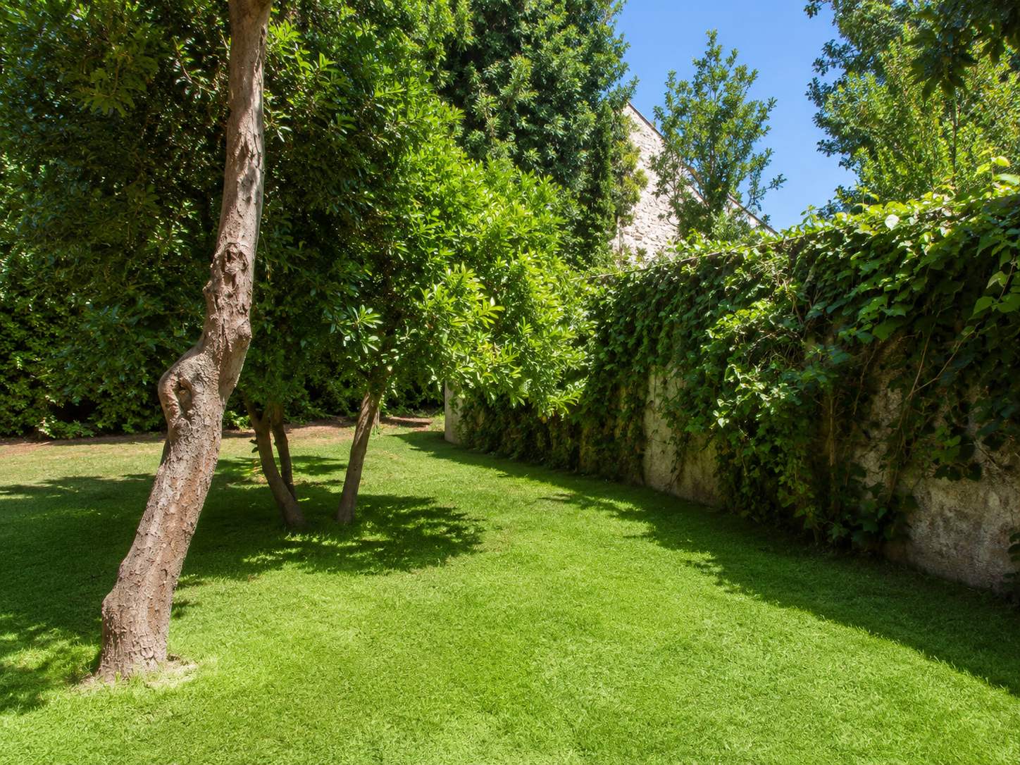 Large private lawn with mature trees at the Ramban Luxury Rechavia apartment