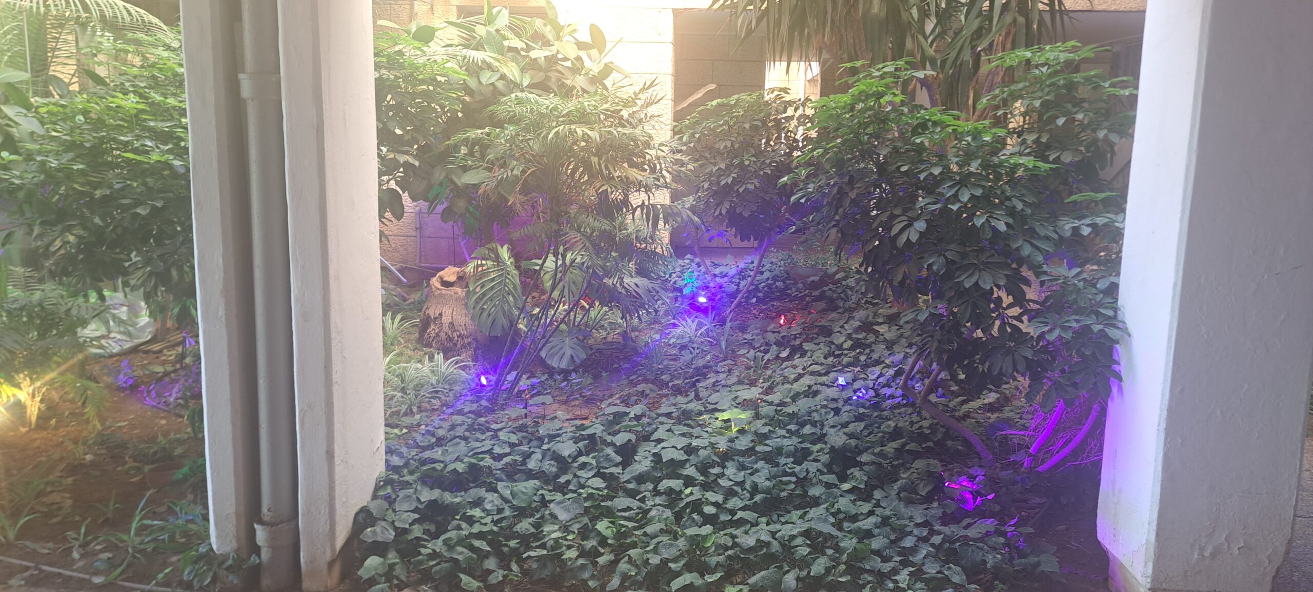 Illuminated landscaped garden at Wolfson Villa in Jerusalem.